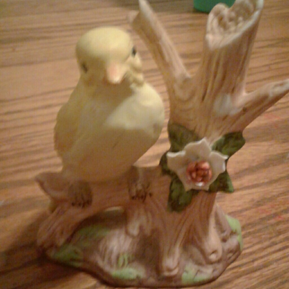 Bird